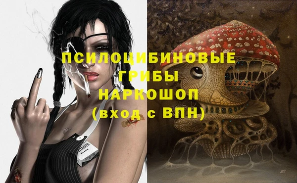 соль ск Алексин