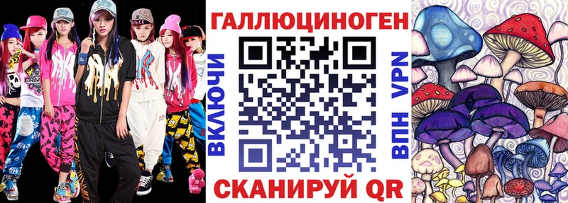 Псилоцибиновые грибы Psilocybe Чадан